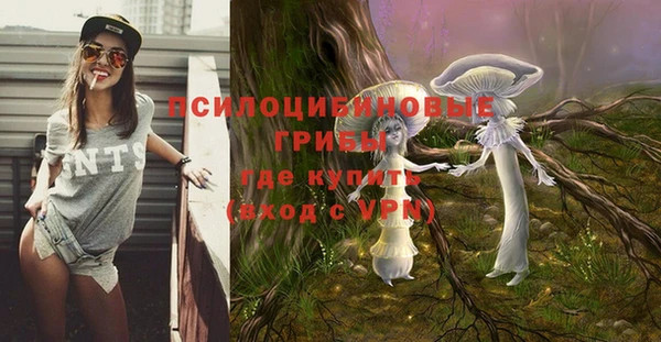 ALPHA PVP Аркадак