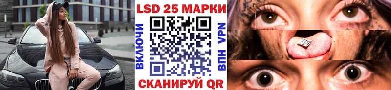 Марки N-bome 1500мкг  Судак 